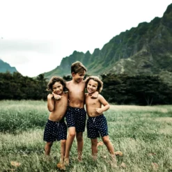 Bermies Kids Swim Trunk In Sharks -Sunflai Swimwear Shop 11