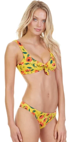 Tori Praver Raven Bikini Top In French Poppy