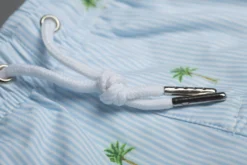 Bermies Mens Swim Trunk In Palm Stripes -Sunflai Swimwear Shop classicpalm1