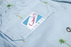 Bermies Mens Swim Trunk In Palm Stripes -Sunflai Swimwear Shop classicpalm2