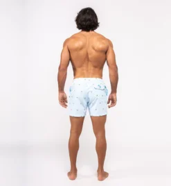 Bermies Mens Swim Trunk In Palm Stripes -Sunflai Swimwear Shop classicpalmback